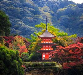 Elegant Japonya Turu - Türk Hava Yolları ile 8 Gece 9 Gün