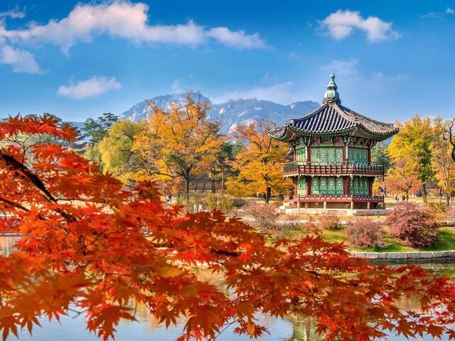 Elegant Japonya Turu - Türk Hava Yolları ile 8 Gece 9 Gün