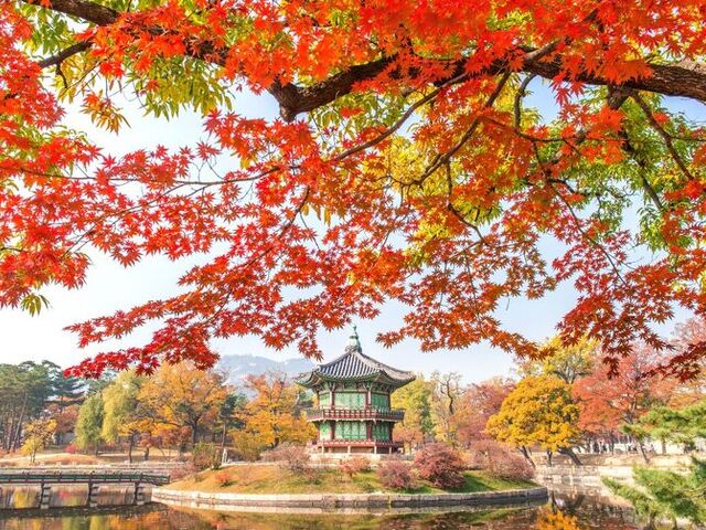 Elegant Japonya Turu - Türk Hava Yolları ile 8 Gece 9 Gün