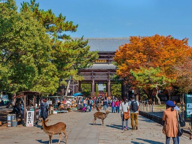 Elegant Japonya Turu - Türk Hava Yolları ile 8 Gece 9 Gün